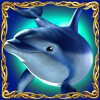 Символ игрового автомата Dolphin's Pearl Deluxe Дельфин