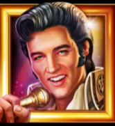 Символ игрового автомата The Real King Gold Records Элвис