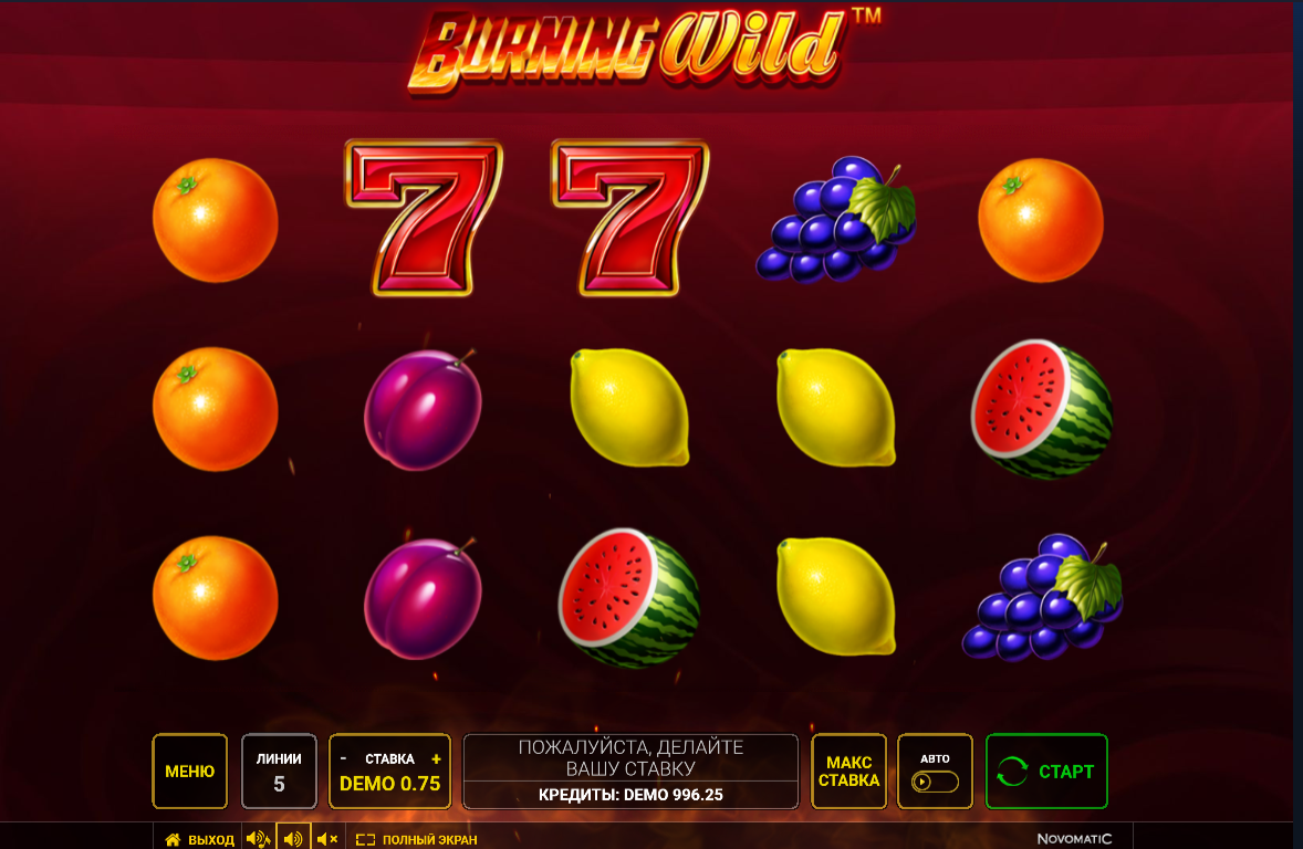 Изображение автомата Burning Wild