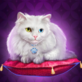Символ игрового автомата Book Of Lady Кошка