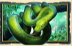 Символ игрового автомата Jungle Queen Змея